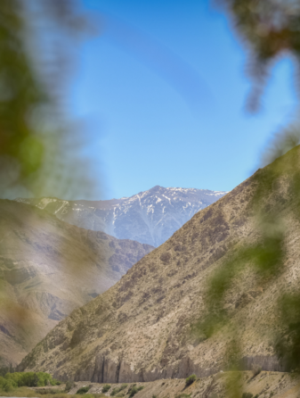 Valle de Elqui