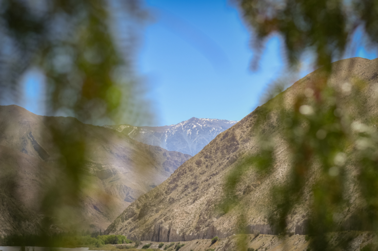 Valle de Elqui