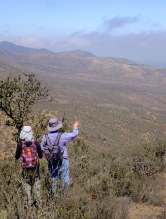 Científicos CEAZA exploran las posibilidades de atrapanieblas y la camanchaca