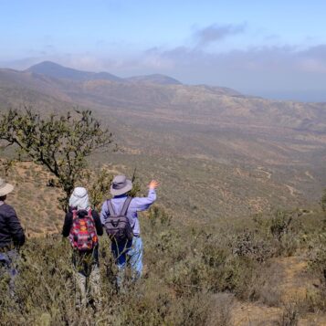 Científicos CEAZA exploran las posibilidades de atrapanieblas y la camanchaca