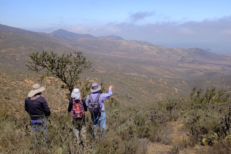 Científicos CEAZA exploran las posibilidades de atrapanieblas y la camanchaca