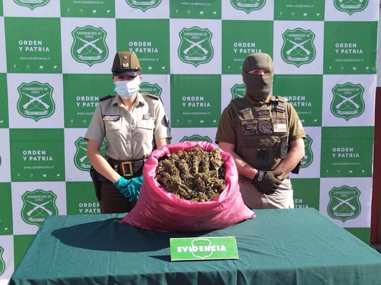 Decomiso de Marihuana en Los Vilos