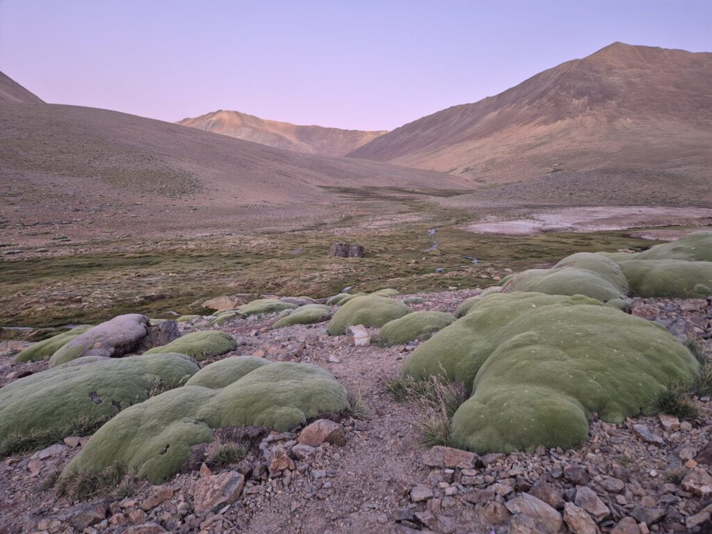 Río Sasso en Limarí y su biodiversidad