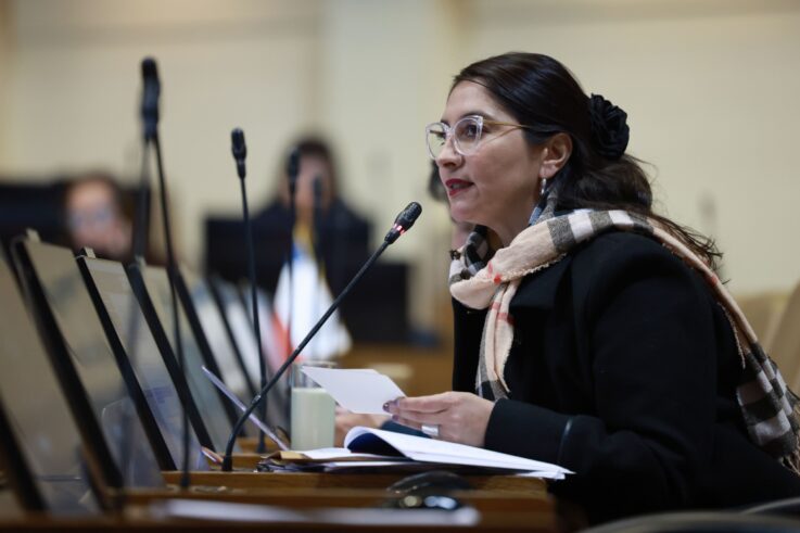 Diputada Nathalie Castillo