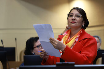 Diputada Nathalie Castillo