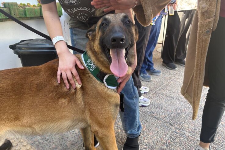 UHCIP Hospital de Ovalle