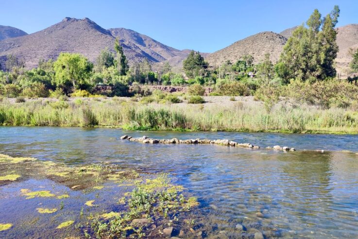 Microbiología Río Elqui Región de Coquimbo