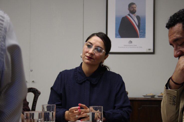 Diputada Nathalie Castillo