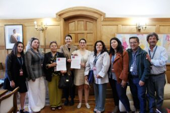 Nathalie Castillo en reunión con SUBDERE